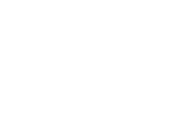 Roast AI